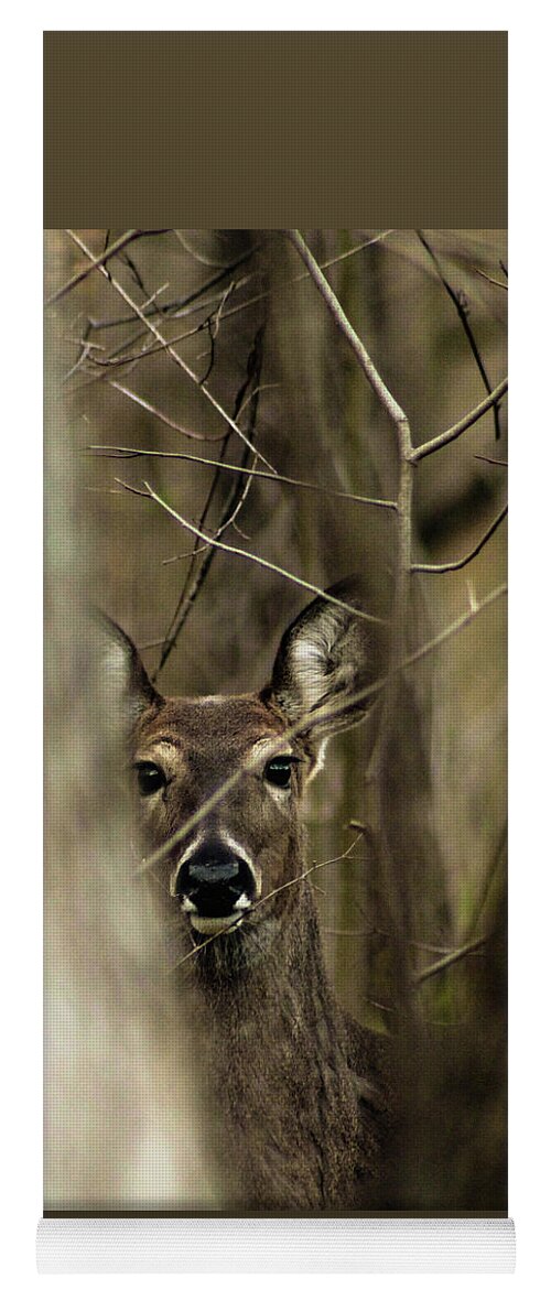 Deer Yoga Mat featuring the photograph Observed by Bruce Patrick Smith