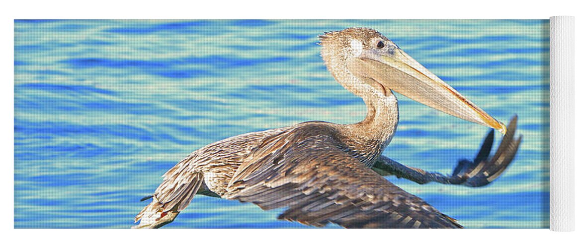 Pelican Yoga Mat featuring the photograph Odd Flight by Shoal Hollingsworth