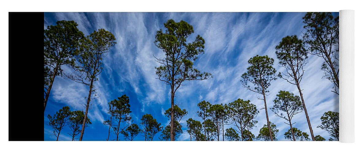 Art Yoga Mat featuring the photograph Okefenokee Sky by Gary Migues