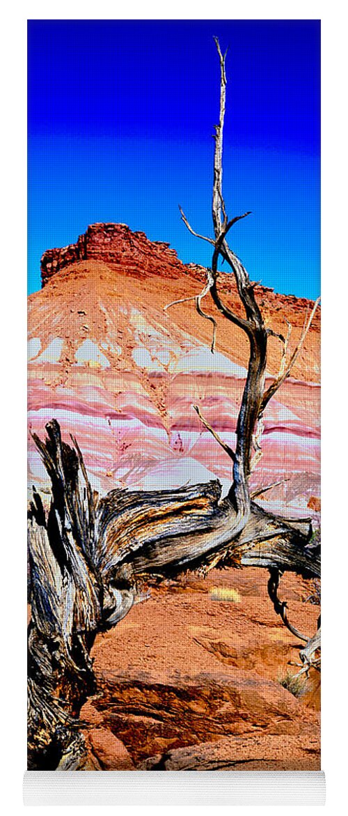Vermilion Cliff/ Paria Wilderness Area Yoga Mat featuring the photograph Old-Timer by Frank Houck