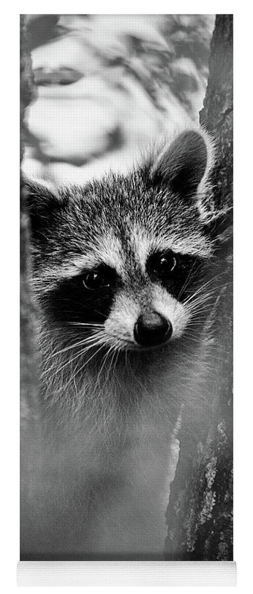 Racoon Yoga Mat featuring the photograph On Watch - BW by Christopher Holmes