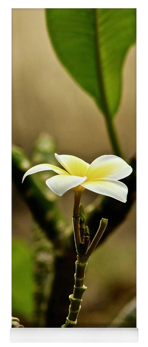 Plumeria Yoga Mat featuring the photograph One Blossom and a bud by Craig Wood