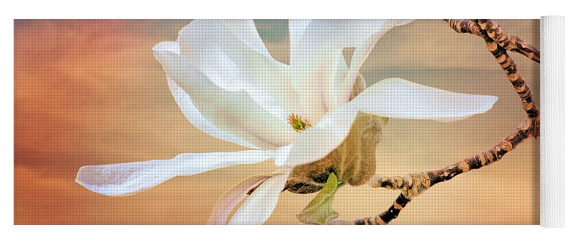 Magnolia Yoga Mat featuring the photograph Open Magnolia on Texture by Nikolyn McDonald