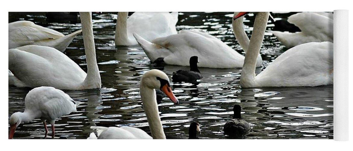 Swans Yoga Mat featuring the photograph Opposites Attract by Carolyn Mickulas