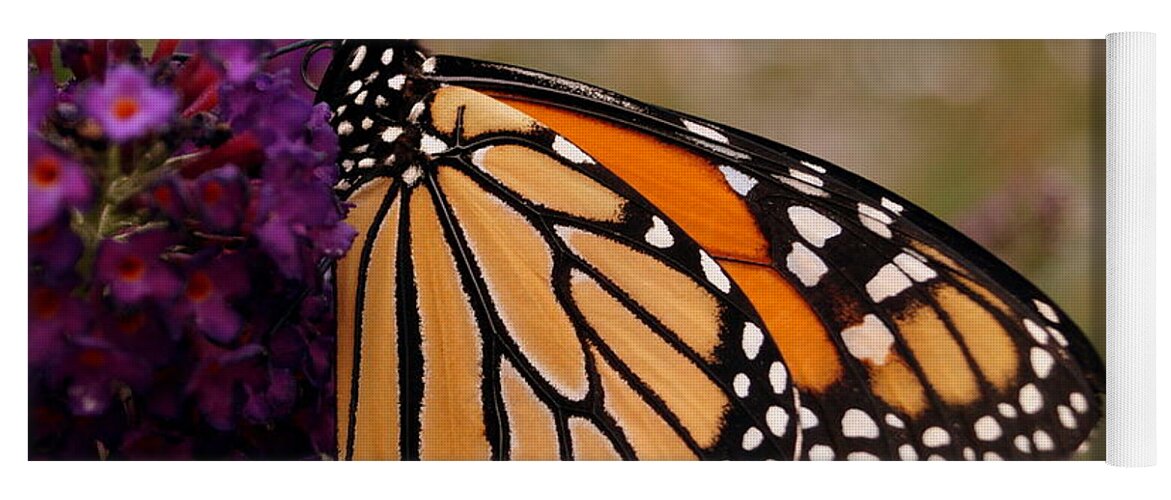 Butterfly Yoga Mat featuring the photograph Orange and Black Beauty by Beth Collins