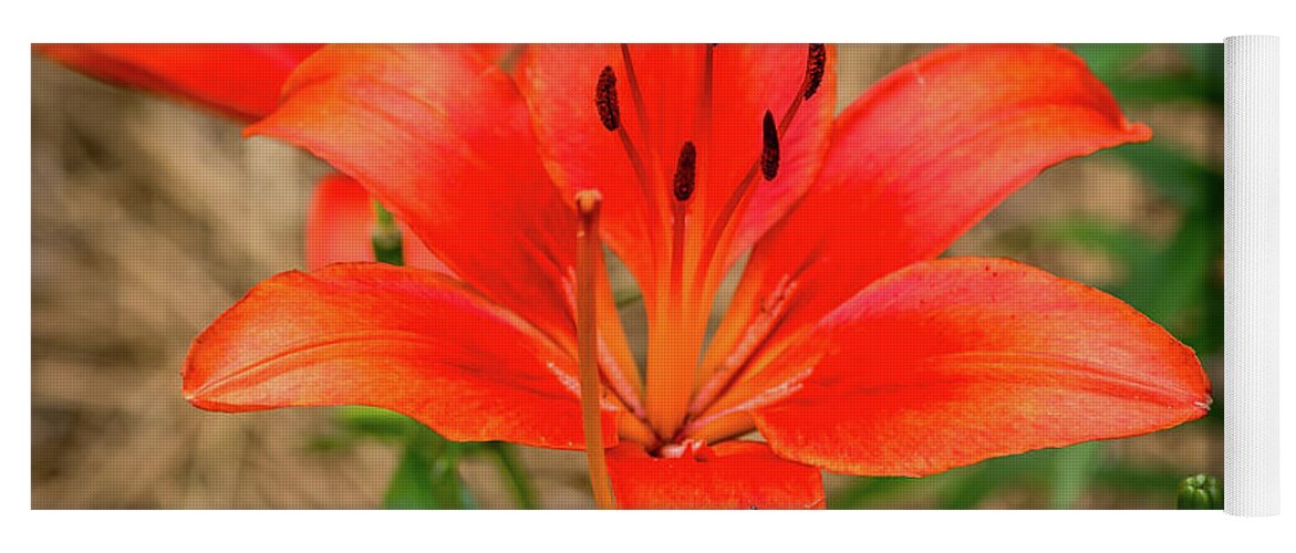 Flower Yoga Mat featuring the digital art Orange and Stamen by Ed Stines