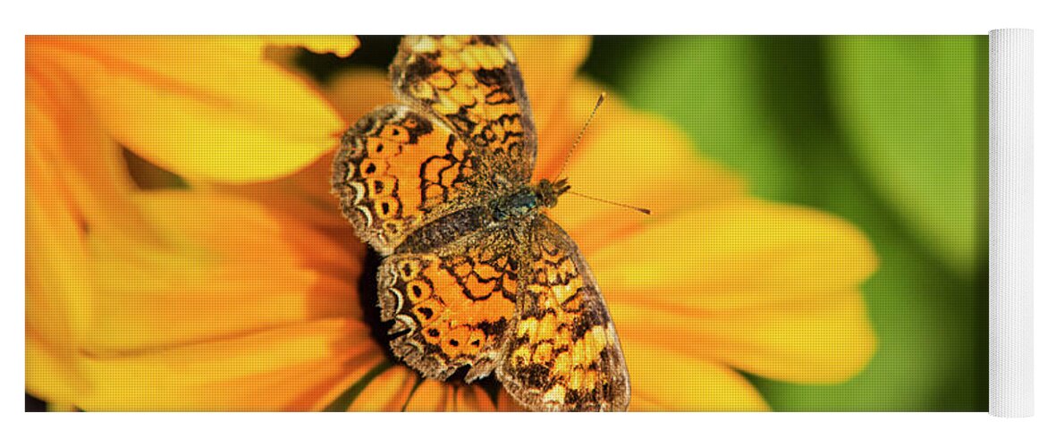 Butterfly Yoga Mat featuring the photograph Orange Crescent Butterfly by Christina Rollo