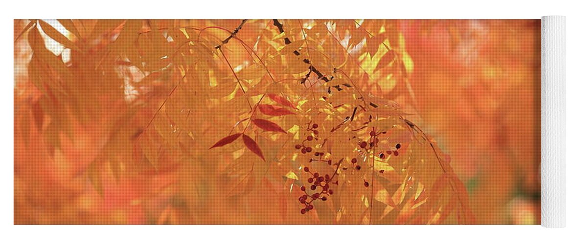 Autumn Yoga Mat featuring the photograph Orange by Digiblocks Photography