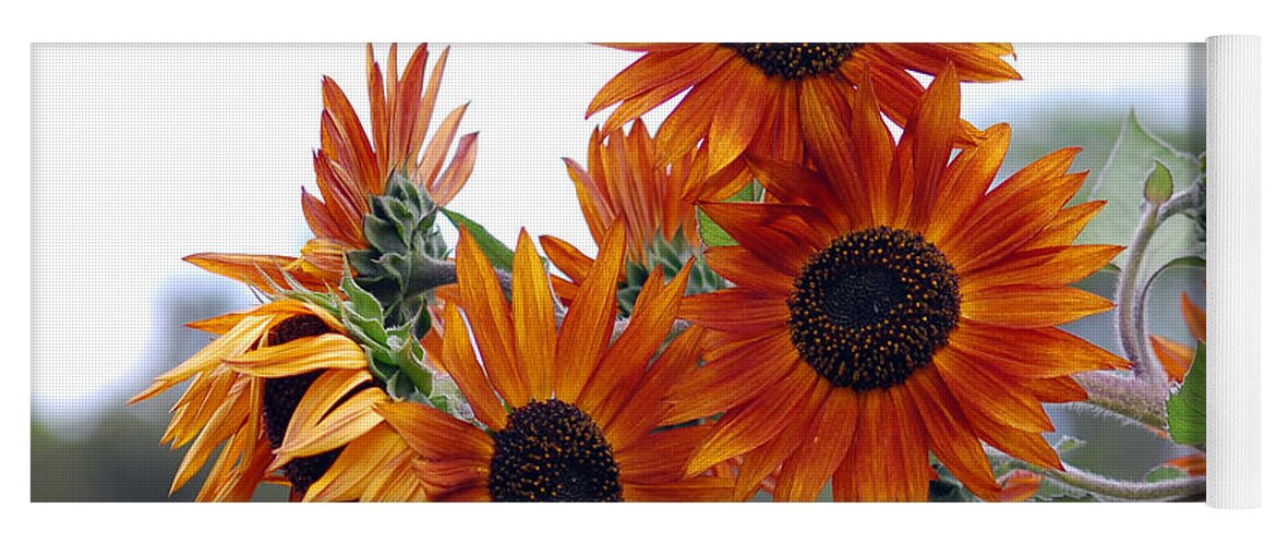 Sunflower Yoga Mat featuring the photograph Orange Sunflower 1 by Amy Fose