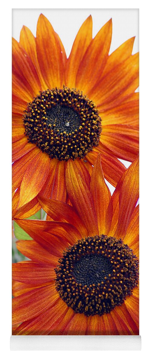 Sunflower Yoga Mat featuring the photograph Orange Sunflower 2 by Amy Fose