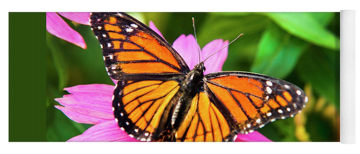 Butterflies Yoga Mat featuring the photograph Orange Viceroy Butterfly by Christina Rollo