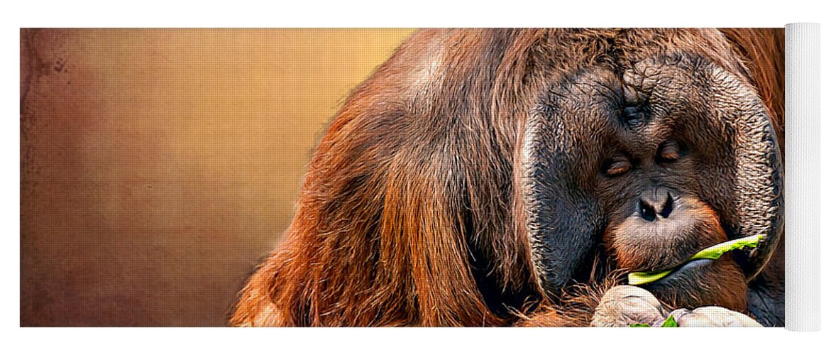 Animal Yoga Mat featuring the photograph Orangutan by Maria Coulson