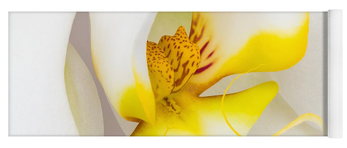 Orchid Yoga Mat featuring the photograph Orchid 4 by Patricia Schaefer