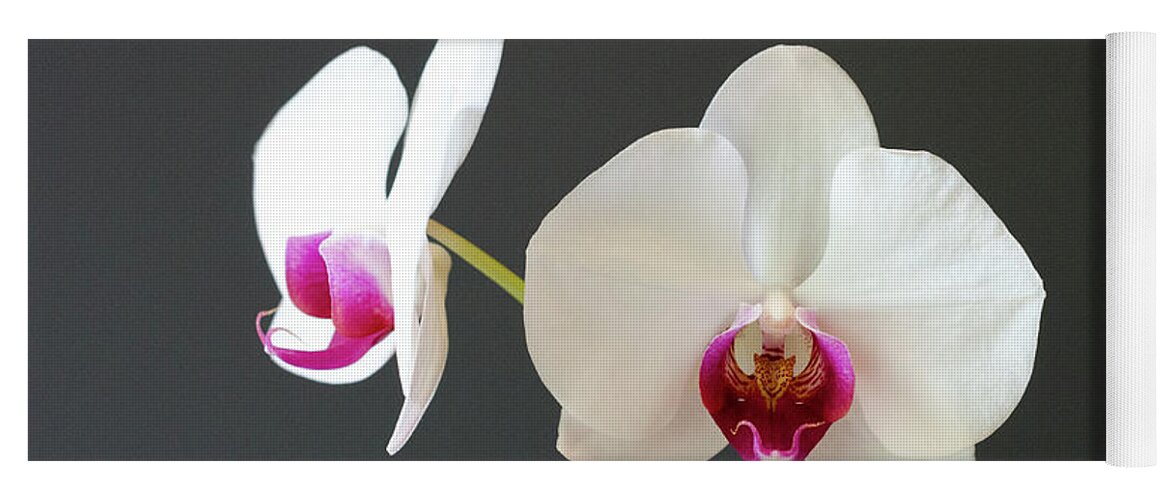 Orchid Yoga Mat featuring the photograph Orchid Blooms by Laurel Best