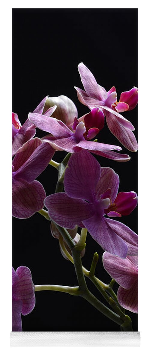 Orchid Yoga Mat featuring the photograph Orchid in flight by Robert WK Clark