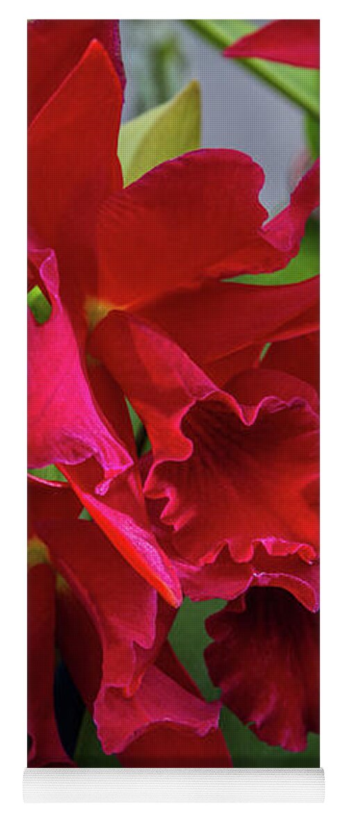 Botanical Yoga Mat featuring the photograph Orchid Show 13 by Alana Thrower
