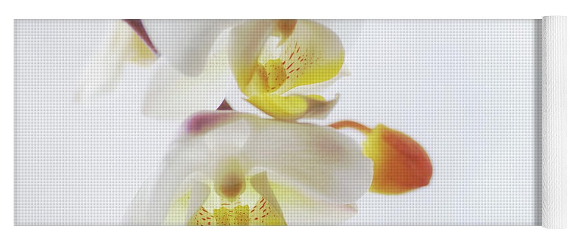 Orchid Yoga Mat featuring the photograph Orchid Zen by Sue Capuano