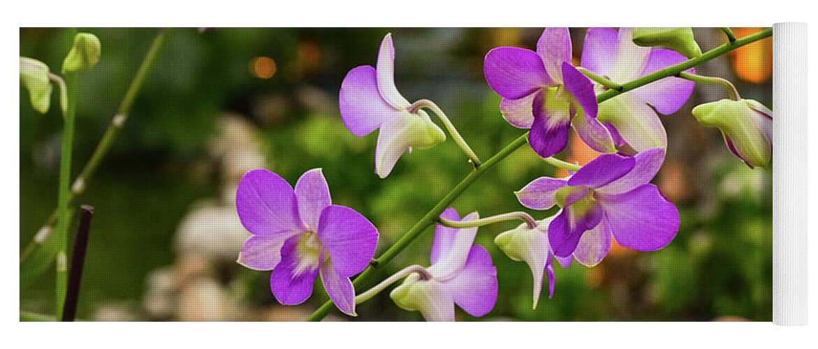 Orchid Yoga Mat featuring the photograph Orchids in Paradise by Nicole Lloyd