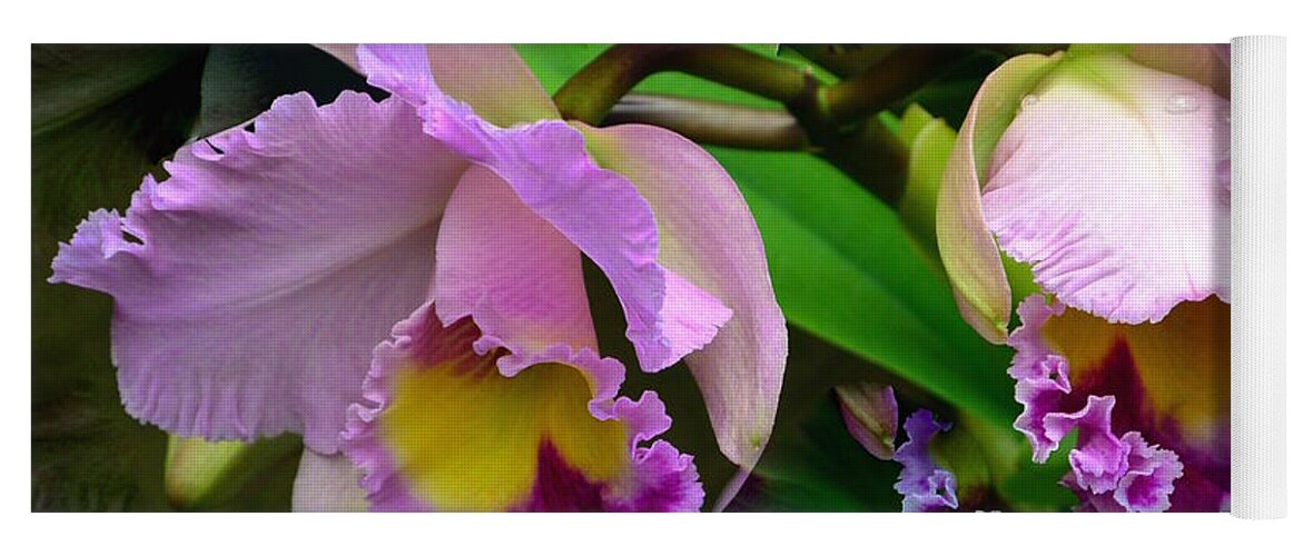 Orchids In Purple Yoga Mat featuring the photograph Orchids in Purple by Jeannie Rhode