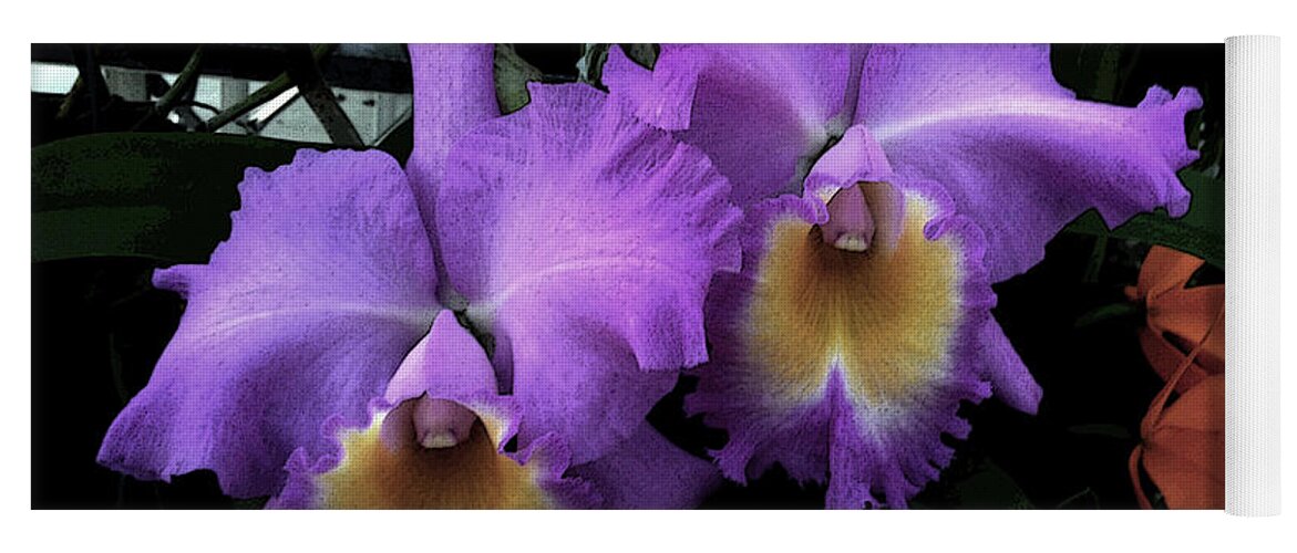 Orchid Yoga Mat featuring the photograph Orchids Purple Passion by Lesa Fine