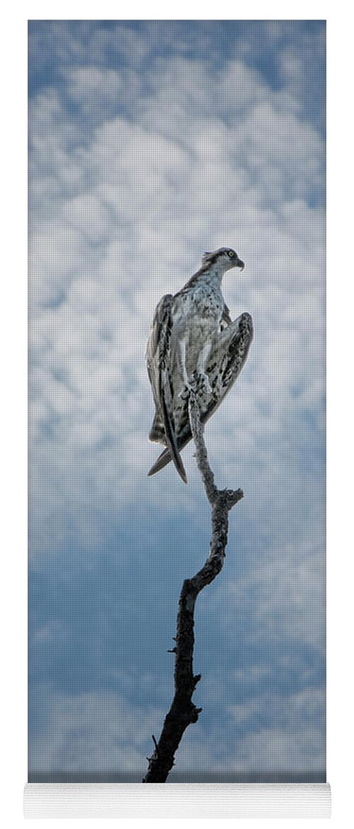 Osprey Yoga Mat featuring the photograph Osprey on Top of the World by Mitch Spence