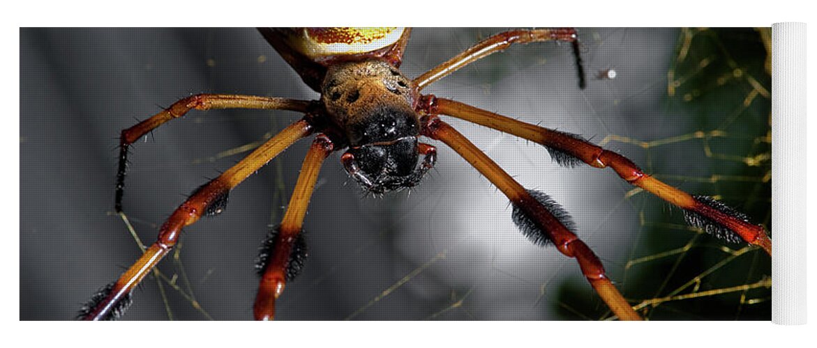 Spider Yoga Mat featuring the photograph Out Of The Dark by Christopher Holmes