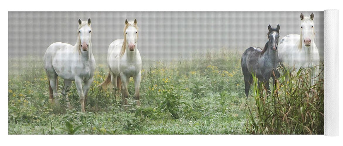 Wild Horses Yoga Mat featuring the photograph Out of the Mist, 2 by Holly Ross