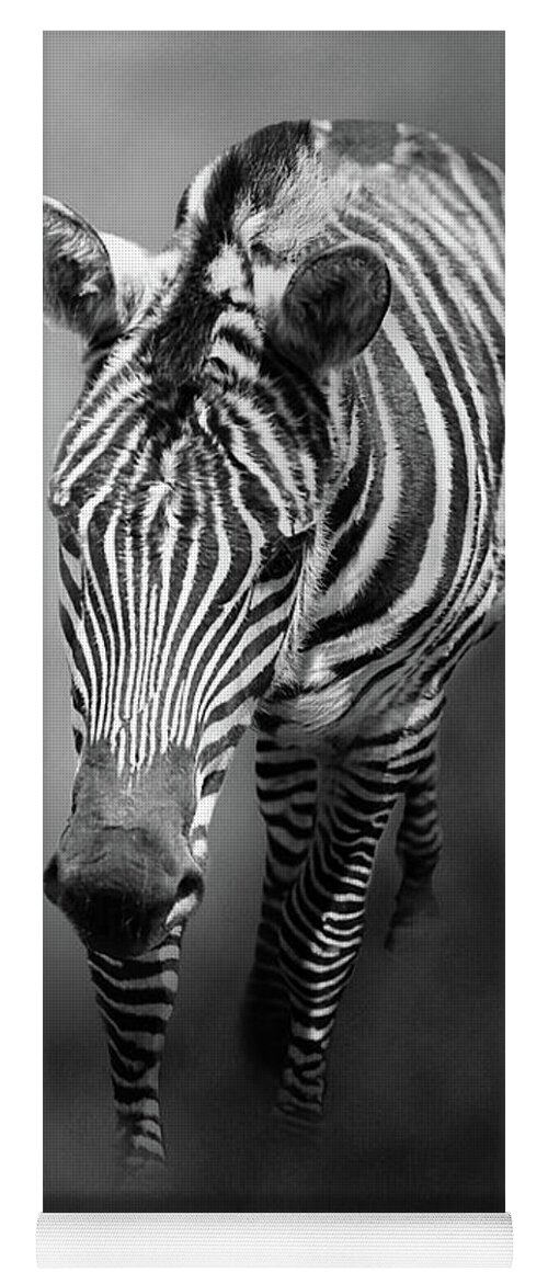Zebra Yoga Mat featuring the photograph Out of the Mist by Theresa Campbell