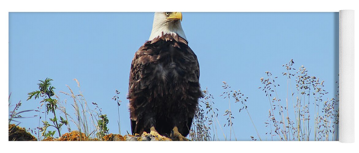 Eagle Yoga Mat featuring the photograph Overseer by Holly Ross