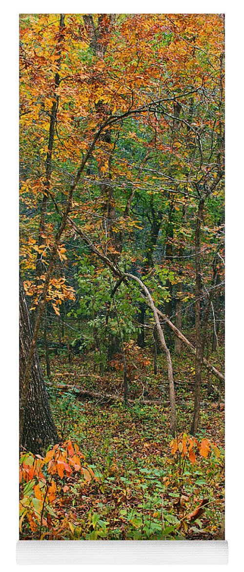 Trees Yoga Mat featuring the photograph Ozark Forest in Fall 2 by Greg Matchick
