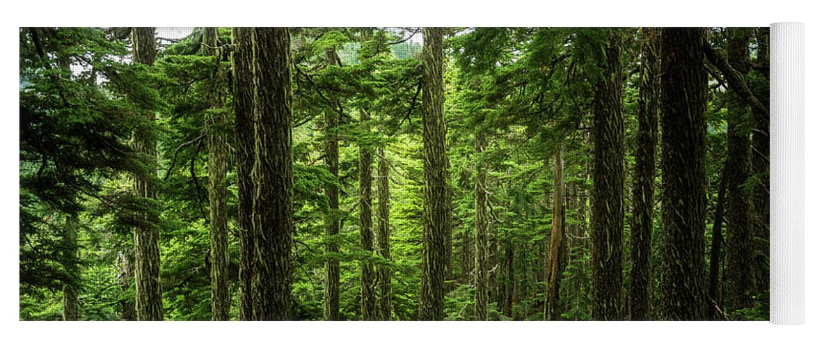 Scenic Yoga Mat featuring the photograph Pacific Northwest Forest by Pelo Blanco Photo