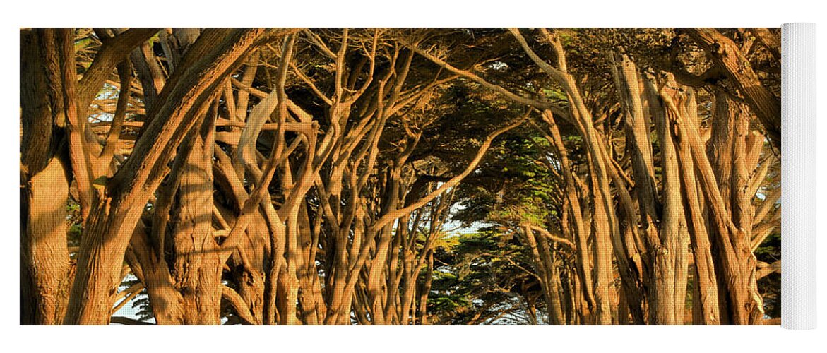 Cypress Tunnel Yoga Mat featuring the photograph Pacific Coast Cypress Tunnel by Adam Jewell