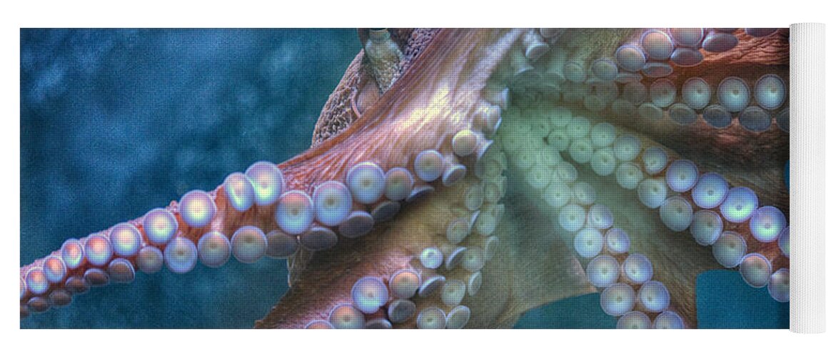 The Giant Pacific Octopus Yoga Mat featuring the photograph Giant Pacific Octopus by David Zanzinger