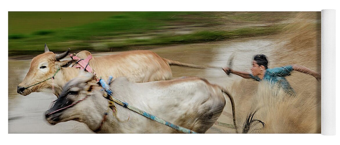 Animal Yoga Mat featuring the photograph Pacu Jawi Bull Race festival by Pradeep Raja Prints