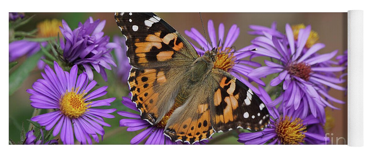 Painted Lady Yoga Mat featuring the photograph Painted Lady Butterfly and Aster Flowers 6x3 by Robert E Alter Reflections of Infinity