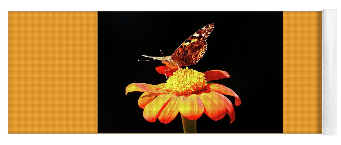 Painted Lady Yoga Mat featuring the photograph Painted Lady On Mexican Sunflower by Debbie Oppermann