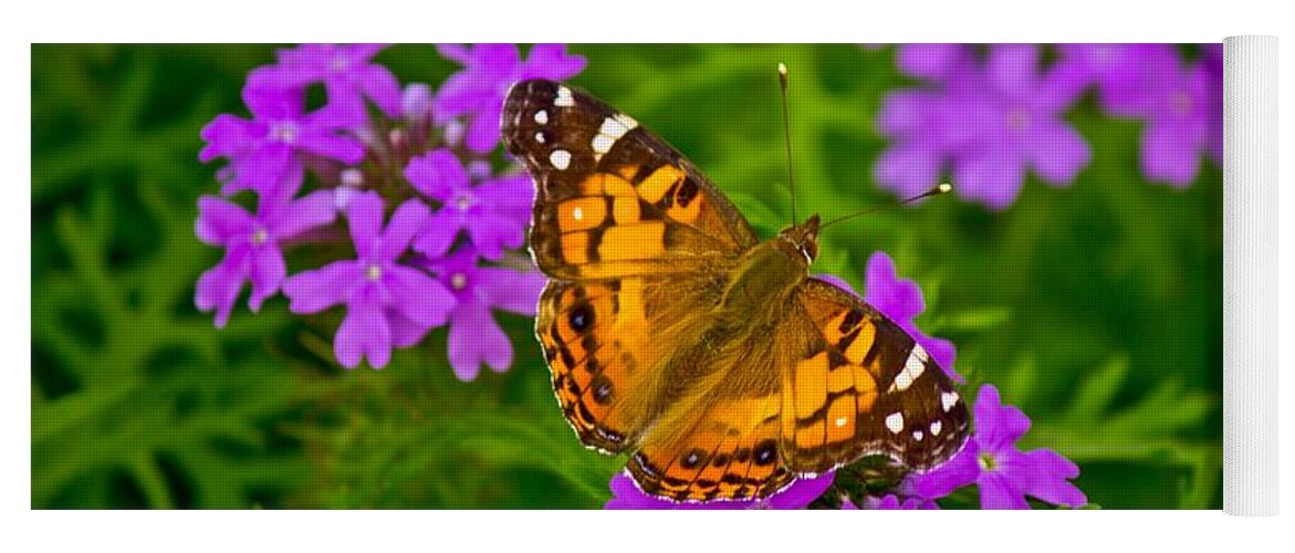 Michael Tidwell Photography Yoga Mat featuring the photograph Painted Lady on Purple Verbena by Michael Tidwell