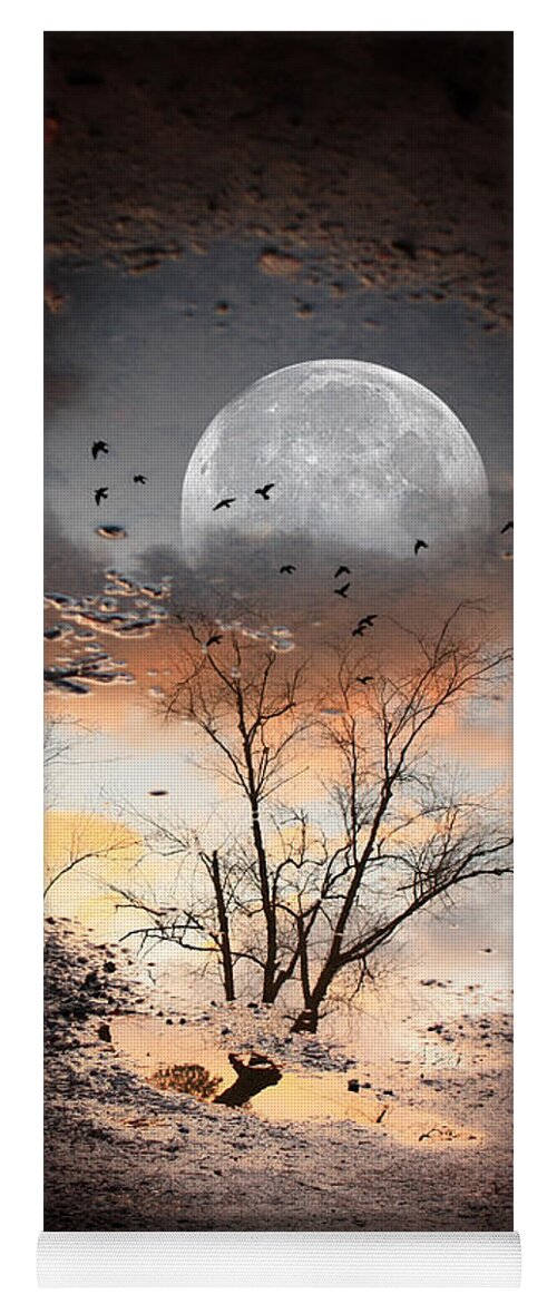 Moon Yoga Mat featuring the photograph Painted Puddle by Gray Artus