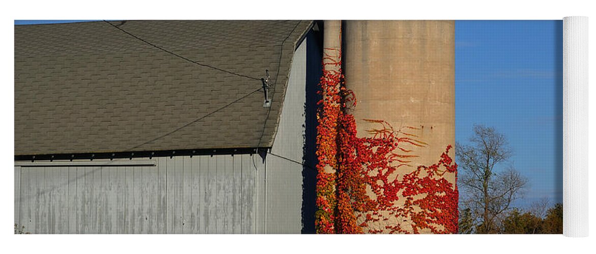 Fall Yoga Mat featuring the photograph Painted Silo by Tim Nyberg