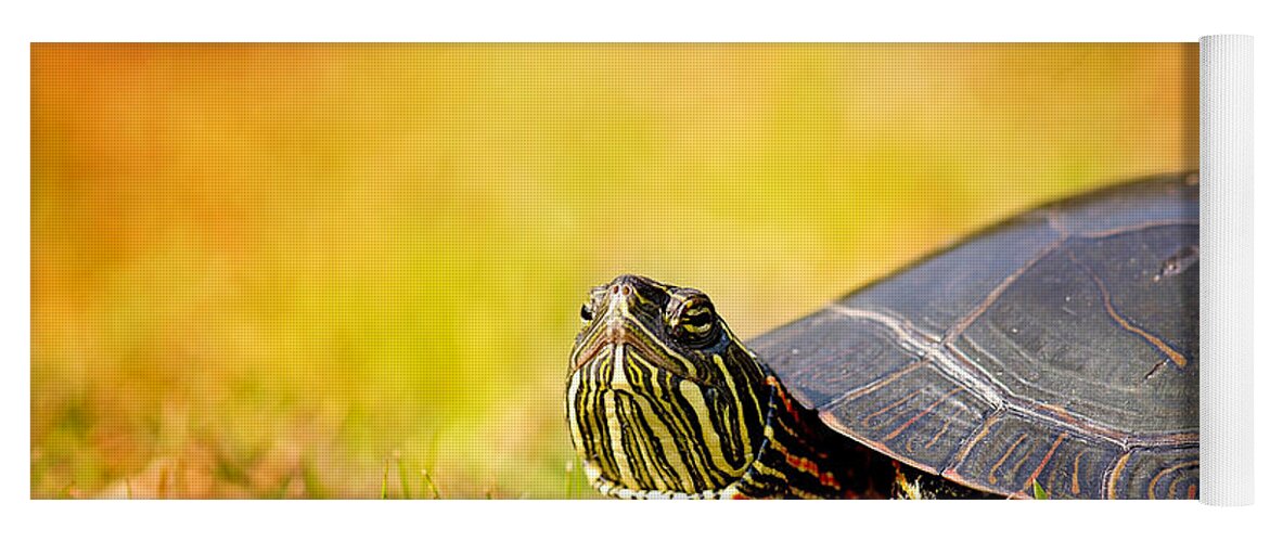 Painted Turtle Photo Yoga Mat featuring the photograph Painted Turtle Print by Gwen Gibson