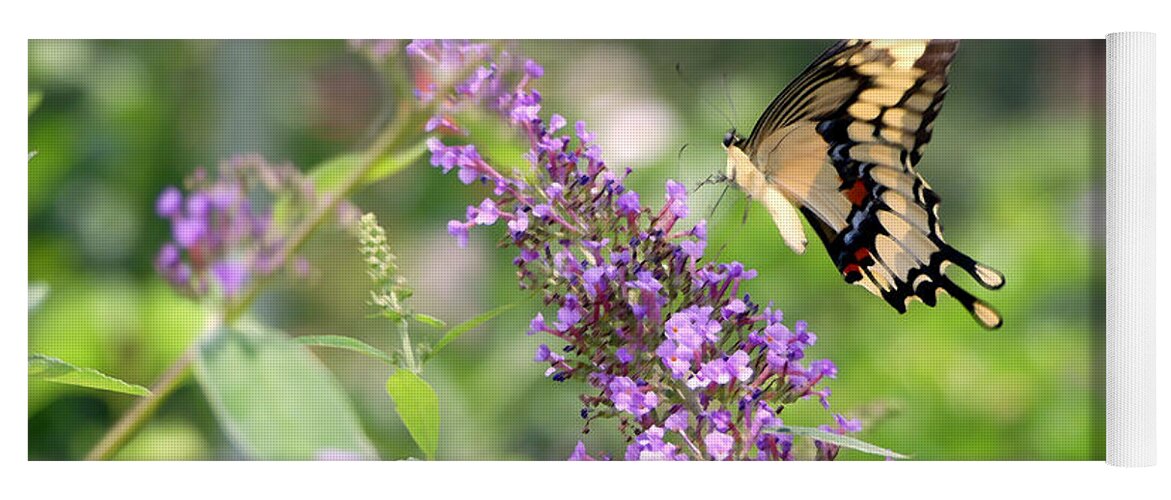 Giant Swallowtail Butterfly Yoga Mat featuring the photograph Painterly Giant Swallowtail by Amy Dundon