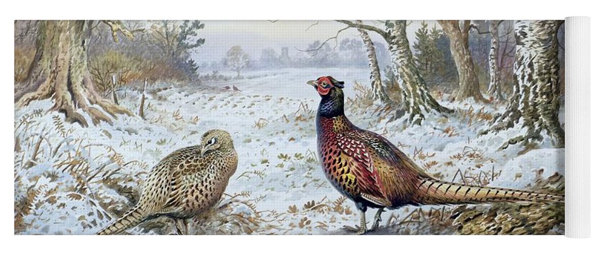 Game Bird; Snow; Woodland; Perdrix; Faisan; Troglodyte; Pheasant; Pheasants; Tree; Trees; Bird; Animals Yoga Mat featuring the painting Pair of Pheasants with a Wren by Carl Donner
