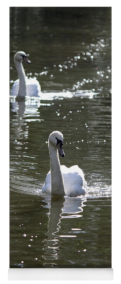 Pair Of Swans Swan Swimming Gliding Yoga Mat featuring the photograph Pair of Swans by Julia Gavin