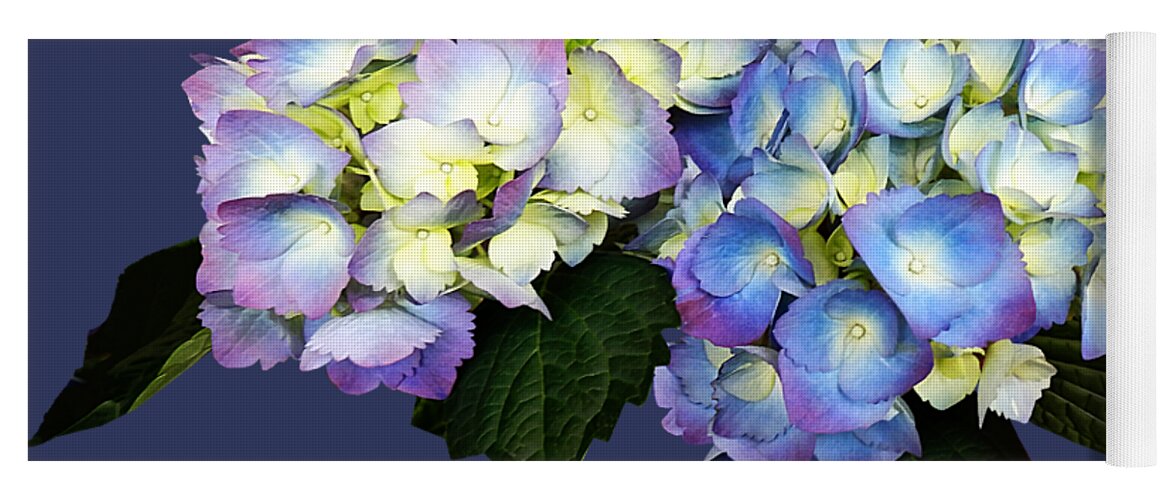 Hydrangea Yoga Mat featuring the photograph Pale Pink and Blue Hydrangea by Susan Savad