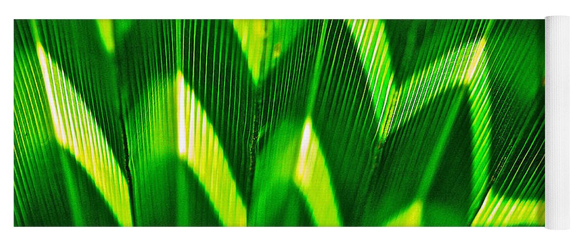 Palm Leaf Yoga Mat featuring the photograph Palm Abstract by Michael Cinnamond