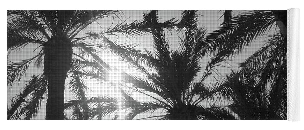 Palm Yoga Mat featuring the photograph Palm Saturday by WaLdEmAr BoRrErO