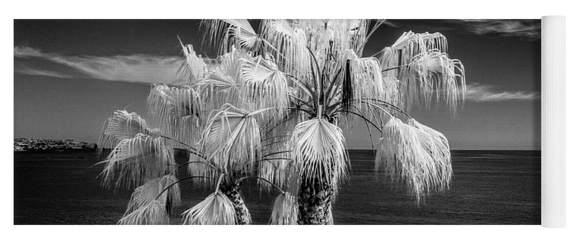 Tree Yoga Mat featuring the photograph Palm Trees at Laguna Beach in Infrared Black and White by Randall Nyhof