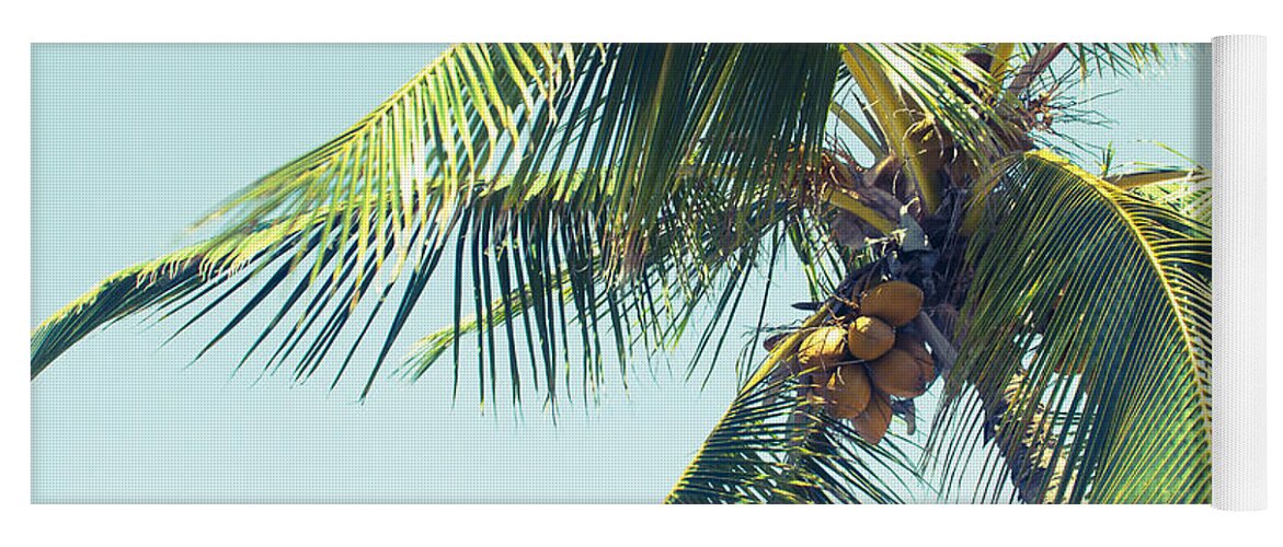 Hawaiian Coconut Palm Tree Yoga Mat featuring the photograph Palm Whispers by Sharon Mau
