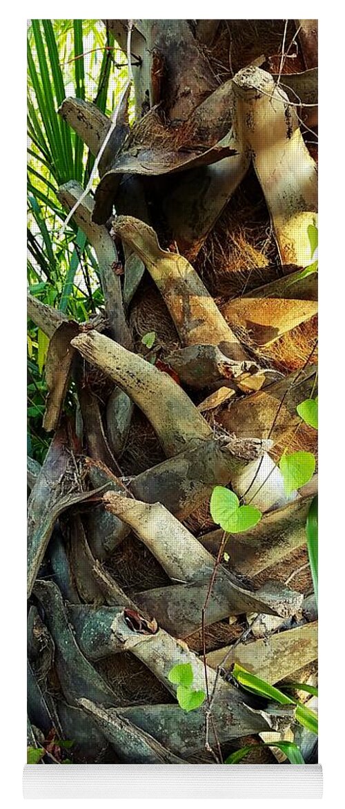 Palmetto Tree Yoga Mat featuring the photograph Palmetto Trunk by Amy Regenbogen