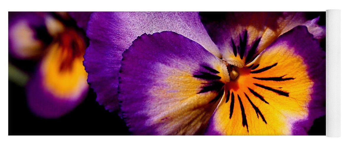 Pansies Yoga Mat featuring the photograph Pansies by Rona Black